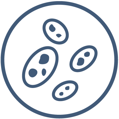 Yeast@2X X SEED